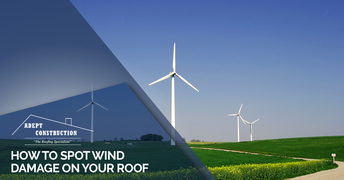 How to Spot Wind Damage on Your Roof