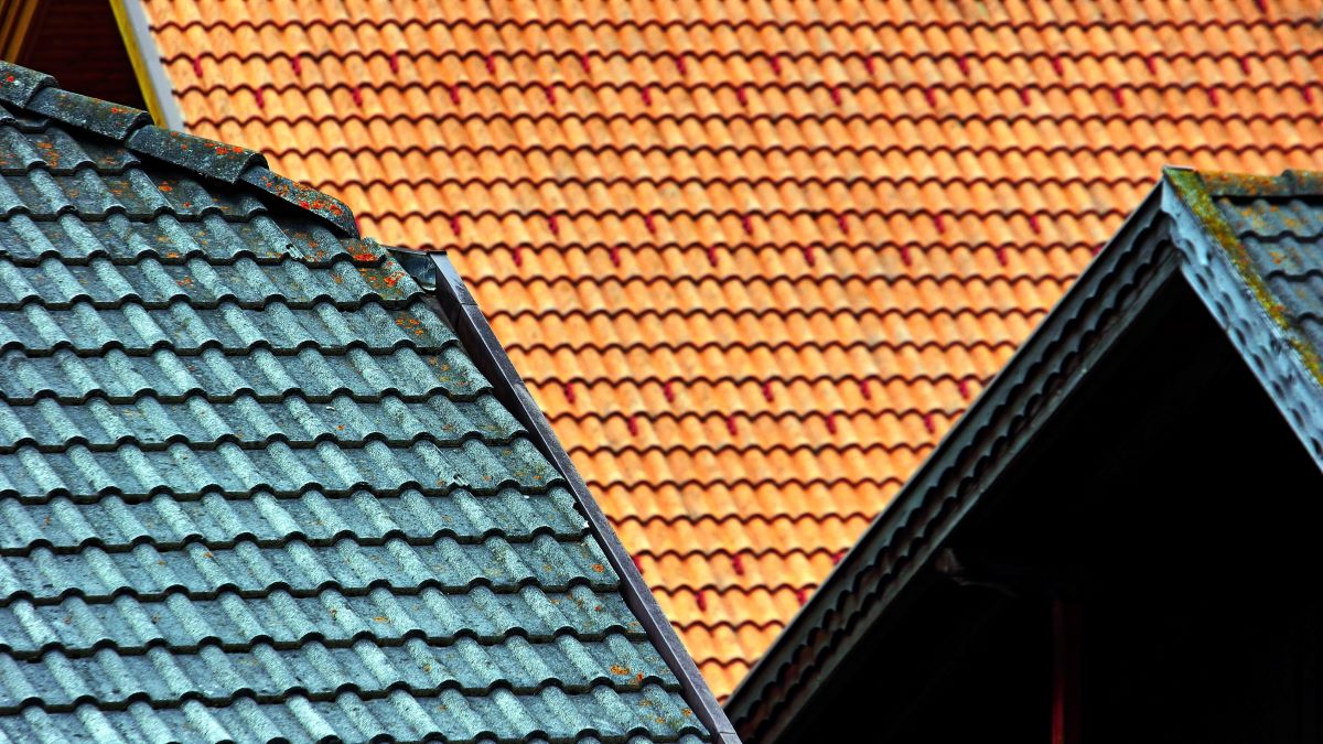 5 Facts About Roof Leak Repairs