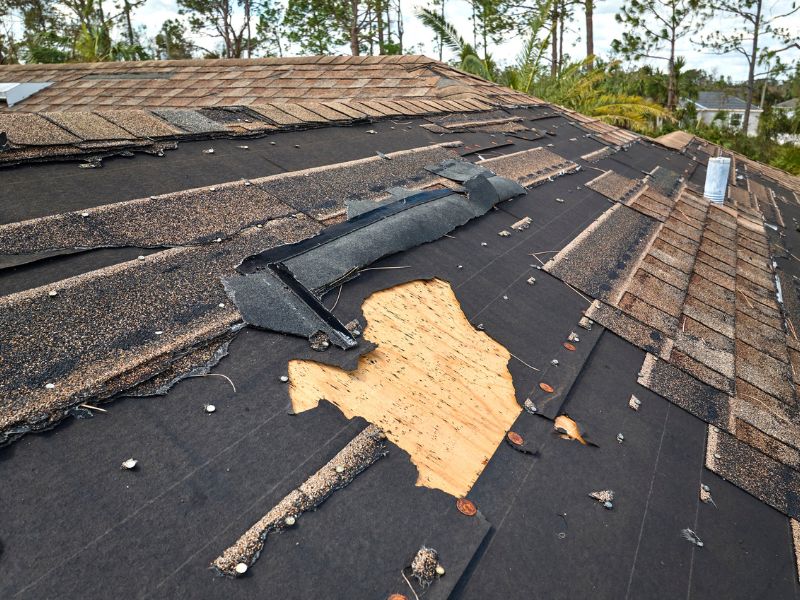 Storm Damage