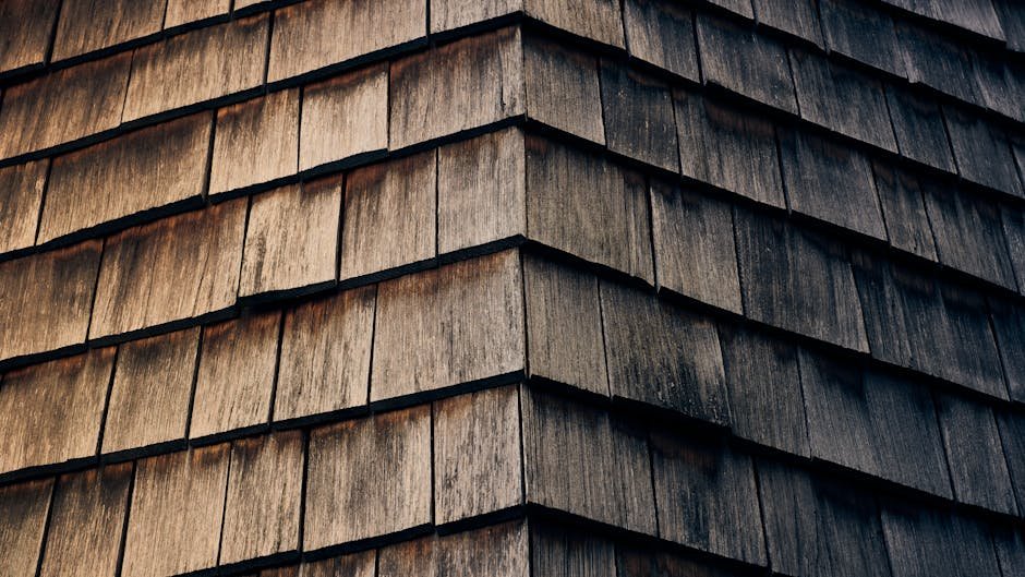 shingle roofer naperville