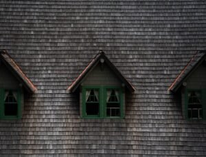 asphalt roofing shingles