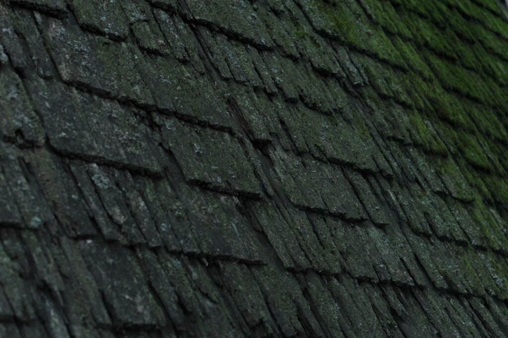 hail damage roof shingles storm inspection