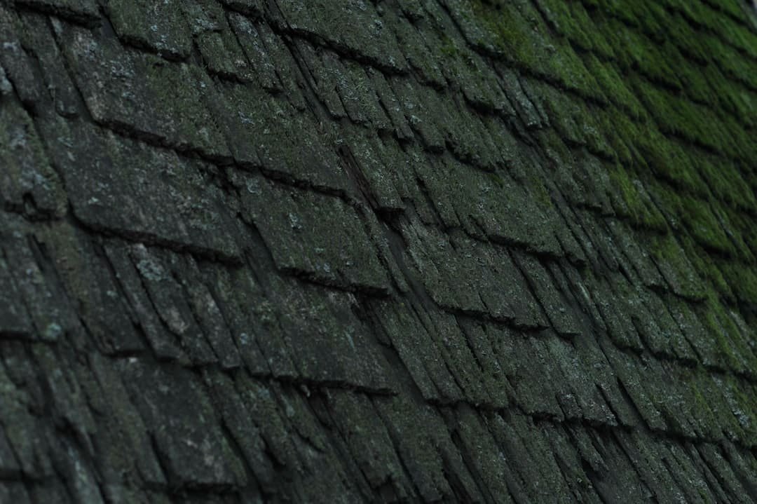 hail damage roof shingles storm inspection