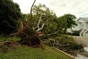 storm damaged roof