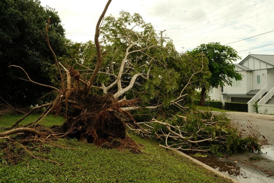 storm damaged roof