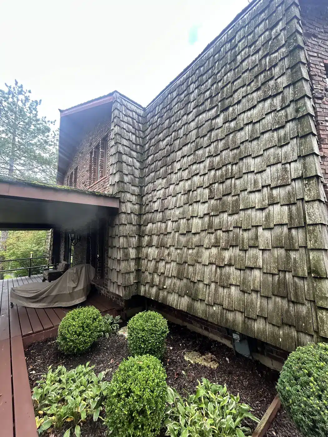 Weathered cedar shakes with moss on a brick home in Homer Glen, IL before replacement