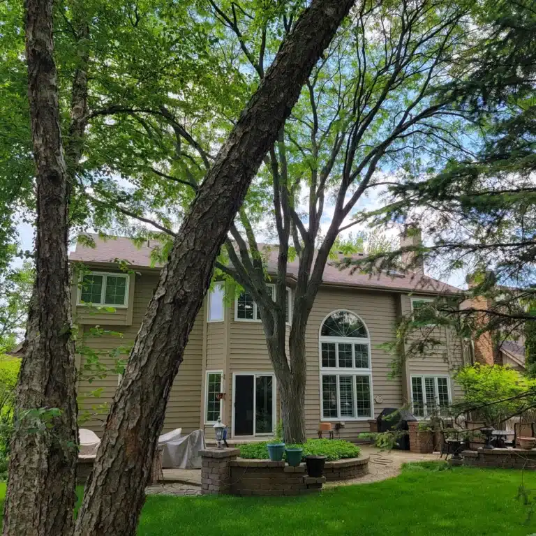 Back of a two-story Naperville, IL home under mature trees with a new Burnt Sienna roof